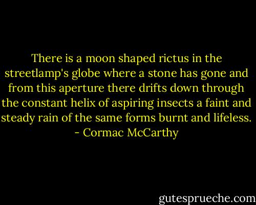 There is a moon shaped rictus in the streetlamp's globe where a stone has gone and from this aperture there drifts down through the constant helix of aspiring insects a faint and steady rain of the same forms burnt and lifeless. - Cormac McCarthy