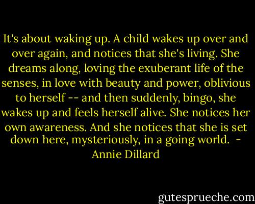 It's about waking up. A child wakes up over and over again, and notices that she's living. She dreams along, loving the exuberant life<br />of the senses, in love with beauty and power, oblivious to herself -- and then suddenly, bingo, she wakes up and feels herself alive. She notices her own awareness. And she notices that she is set down here, mysteriously, in a going world.<br /> - Annie Dillard