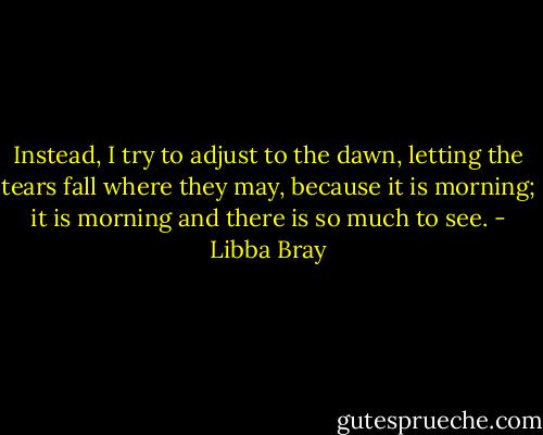 Instead, I try to adjust to the dawn, letting the tears fall where they may, because it is morning; it is morning and there is so much to see. - Libba Bray