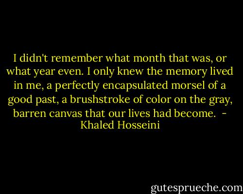 I didn't remember what month that was, or what year even. I only knew the memory lived in me, a perfectly encapsulated morsel of a good past, a brushstroke of color on the gray, barren canvas that our lives had become.  - Khaled Hosseini