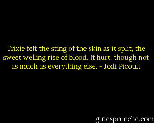 Trixie felt the sting of the skin as it split, the sweet welling rise of blood.<br />It hurt, though not as much as everything else. - Jodi Picoult