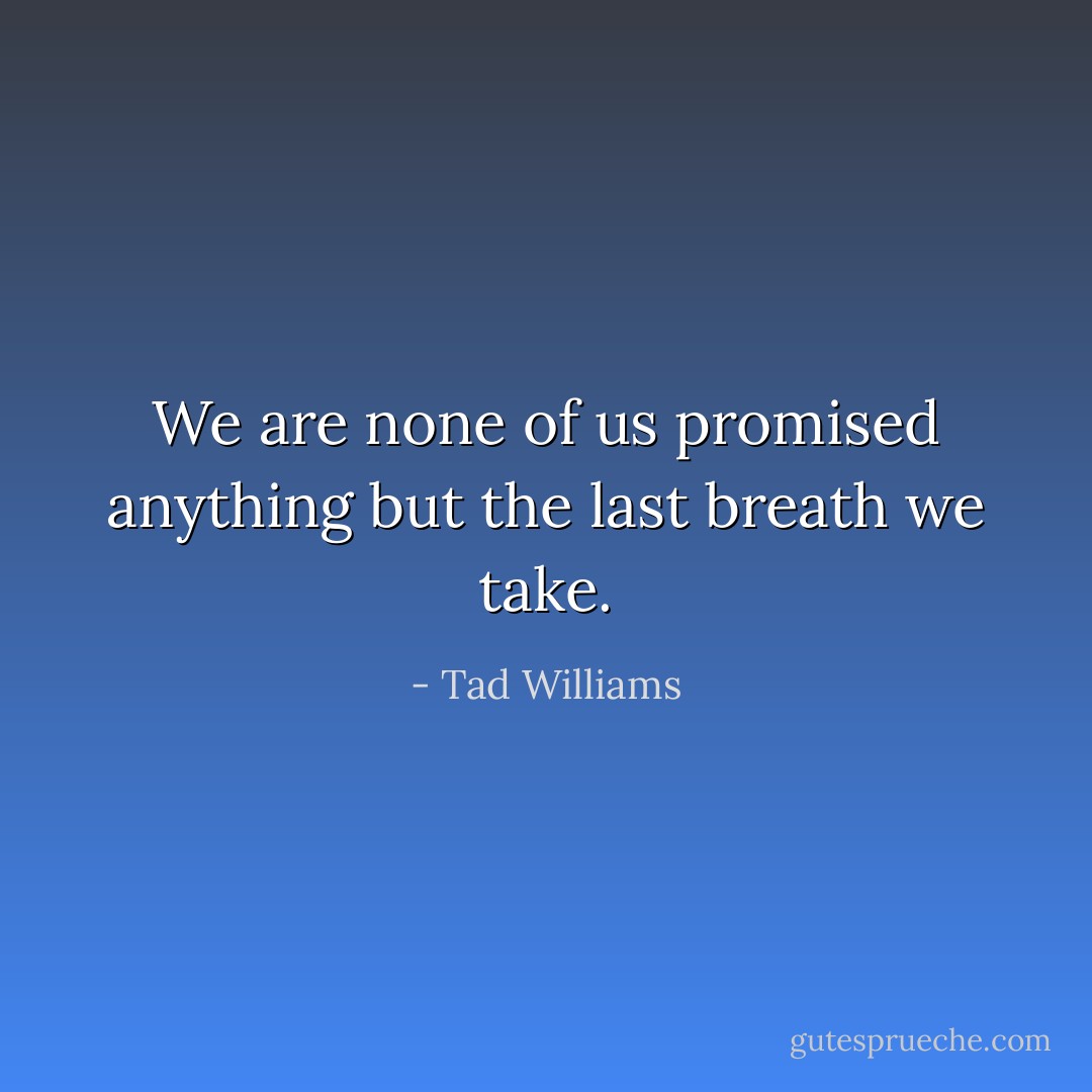 We are none of us promised anything but the last breath we take. - Tad Williams