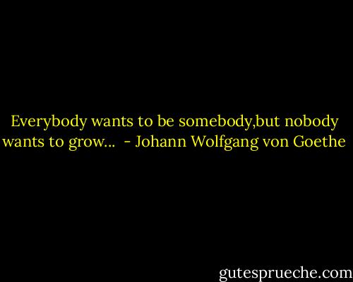 Everybody wants to be somebody,but nobody wants to grow...  - Johann Wolfgang von Goethe