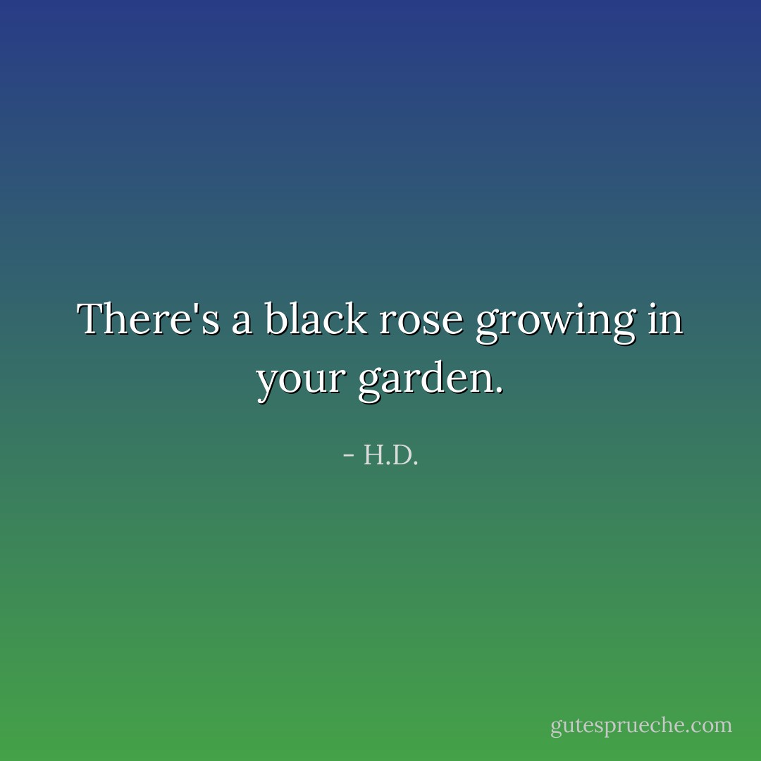 There's a black rose growing in your garden. - H.D.