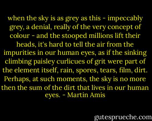 when the sky is as grey as this - impeccably grey, a denial, really of the very concept of colour - and the stooped millions lift their heads, it's hard to tell the air from the impurities in our human eyes, as if the sinking climbing paisley curlicues of grit were part of the element itself, rain, spores, tears, film, dirt. Perhaps, at such moments, the sky is no more then the sum of the dirt that lives in our human eyes. - Martin Amis