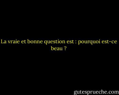 La vraie et bonne question est : pourquoi est-ce beau ? - Annie Dillard