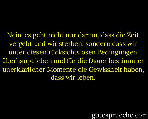 Nein, es geht nicht nur darum, dass die Zeit vergeht und wir sterben, sondern dass wir unter diesen rücksichtslosen Bedingungen überhaupt leben und für die Dauer bestimmter unerklärlicher Momente die Gewissheit haben, dass wir leben. - Annie Dillard<