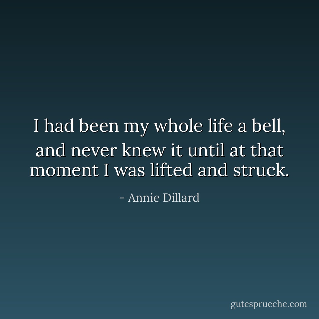I had been my whole life a bell, and never knew it until at that moment I was lifted and struck. - Annie Dillard