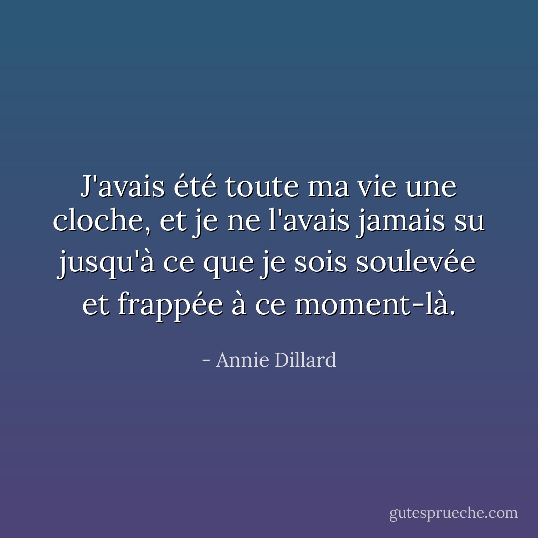 J'avais été toute ma vie une cloche, et je ne l'avais jamais su jusqu'à ce que je sois soulevée et frappée à ce moment-là. - Annie Dillard