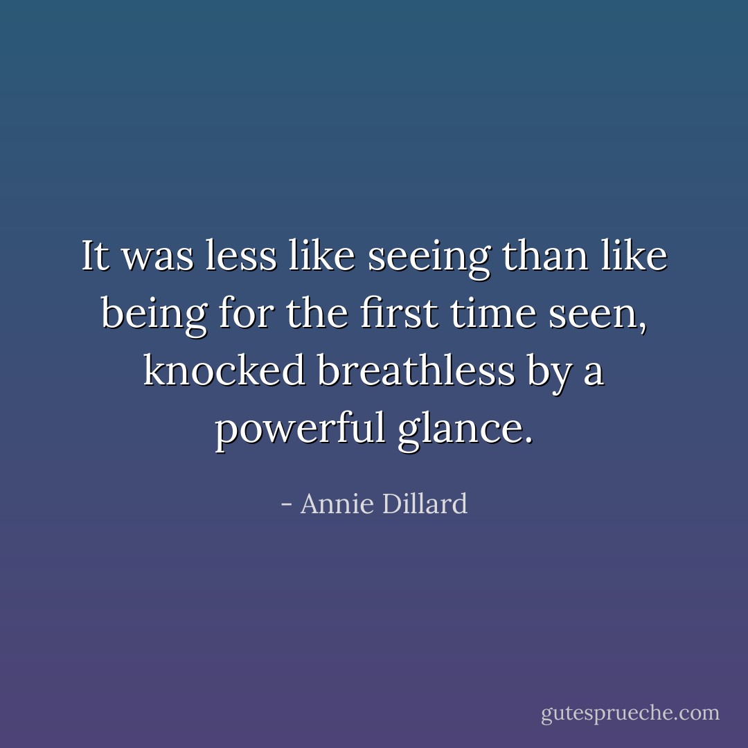 It was less like seeing than like being for the first time seen, knocked breathless by a powerful glance. - Annie Dillard