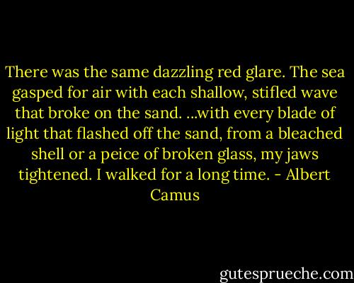 There was the same dazzling red glare. The sea gasped for air with each shallow, stifled wave that broke on the sand. ...with every blade of light that flashed off the sand, from a bleached shell or a peice of broken glass, my jaws tightened. I walked for a long time. - Albert Camus