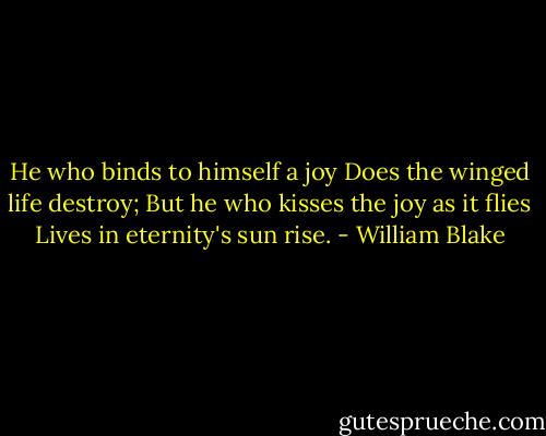 He who binds to himself a joy<br />Does the winged life destroy;<br />But he who kisses the joy as it flies<br />Lives in eternity's sun rise. - William Blake