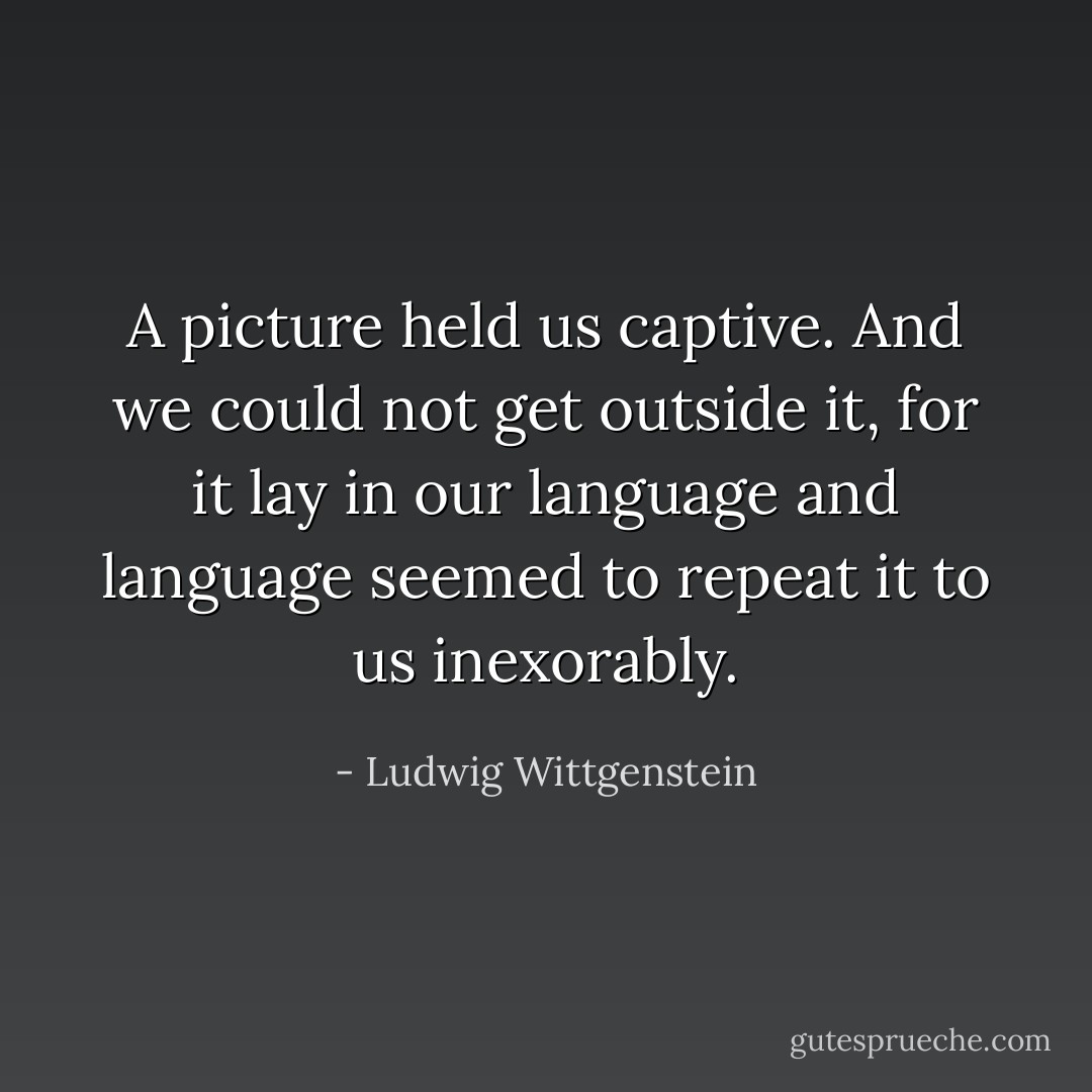 A picture held us captive. And we could not get outside it, for it lay in our language and language seemed to repeat it to us inexorably. - Ludwig Wittgenstein