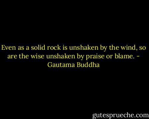 Even as a solid rock is unshaken by the wind, so are the wise unshaken by praise or blame. - Gautama Buddha