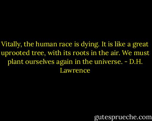 Vitally, the human race is dying. It is like a great uprooted tree, with its roots in the air. We must plant ourselves again in the universe. - D.H. Lawrence