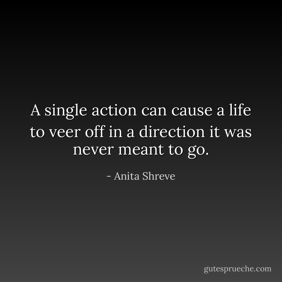 A single action can cause a life to veer off in a direction it was never meant to go. - Anita Shreve