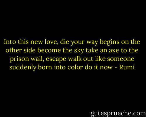 Into this new love, die<br />your way begins<br />on the other side<br />become the sky<br />take an axe to the prison wall,<br />escape<br />walk out like someone<br />suddenly born into color<br />do it now - Rumi