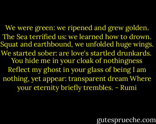 We were green: we ripened and grew golden.<br />The Sea terrified us: we learned how to drown.<br />Squat and earthbound, we unfolded huge wings.<br />We started sober: are love's startled drunkards.<br /><br />You hide me in your cloak of nothingness<br />Reflect my ghost in your glass of being<br />I am nothing, yet appear: transparent dream<br />Where your eternity briefly trembles. - Rumi