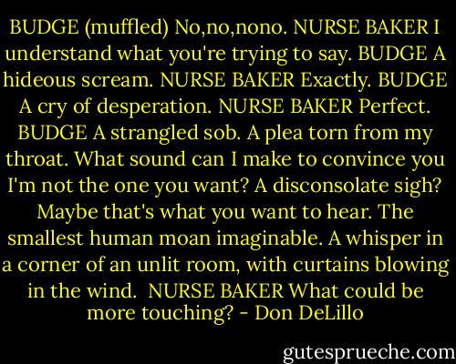 BUDGE (muffled)<br />No,no,nono.<br />NURSE BAKER<br />I understand what you're trying to say.<br />BUDGE<br />A hideous scream.<br />NURSE BAKER<br />Exactly.<br />BUDGE<br />A cry of desperation.<br />NURSE BAKER<br />Perfect.<br />BUDGE<br />A strangled sob. A plea torn from my throat. What sound can I make to convince you I'm not the one you want? A disconsolate sigh? Maybe that's what you want to hear. The smallest human moan imaginable. A whisper in a corner of an unlit room, with curtains blowing in the wind. <br />NURSE BAKER<br />What could be more touching? - Don DeLillo