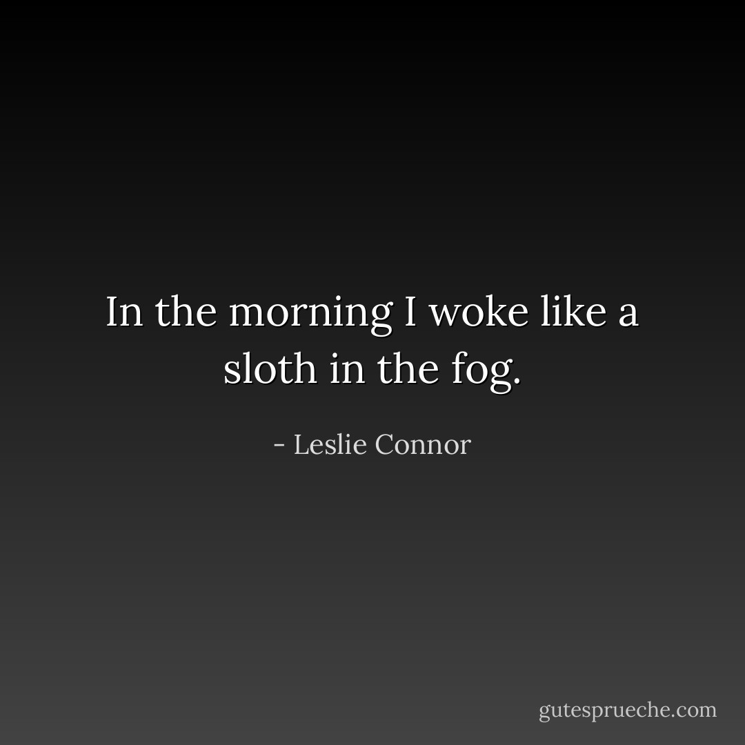 In the morning I woke like a sloth in the fog. - Leslie Connor