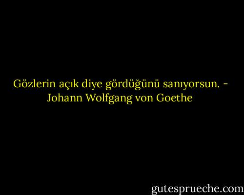 Gözlerin açık diye gördüğünü sanıyorsun. - Johann Wolfgang von Goethe