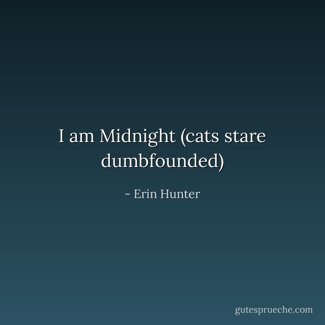 I am Midnight<br />(cats stare dumbfounded) - Erin Hunter