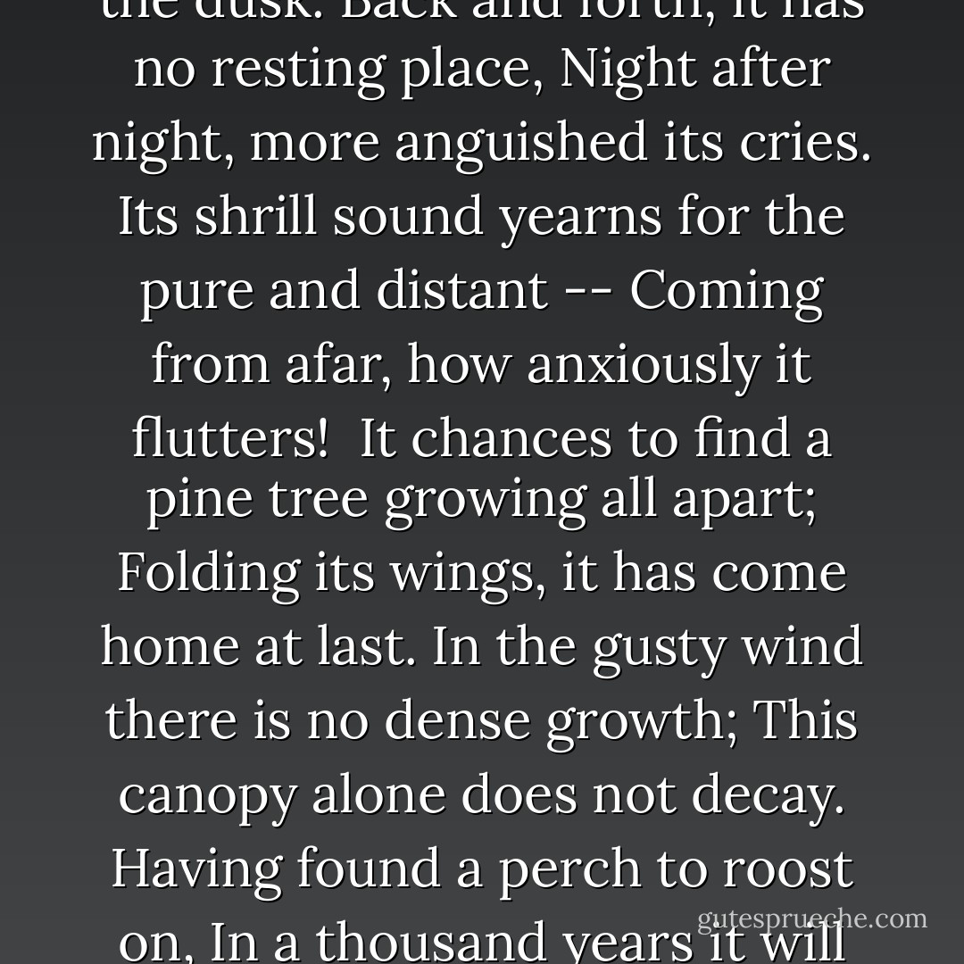 Unsettled, a bird lost from the flock --<br />Keeps flying by itself in the dusk.<br />Back and forth, it has no resting place,<br />Night after night, more anguished its cries.<br />Its shrill sound yearns for the pure and distant --<br />Coming from afar, how anxiously it flutters!<br /><br />It chances to find a pine tree growing all apart;<br />Folding its wings, it has come home at last.<br />In the gusty wind there is no dense growth;<br />This canopy alone does not decay.<br />Having found a perch to roost on,<br />In a thousand years it will not depart. - Tao Yuanming