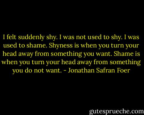 I felt suddenly shy. I was not used to shy. I was used to shame. Shyness is when you turn your head away from something you want. Shame is when you turn your head away from something you do not want. - Jonathan Safran Foer