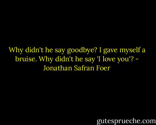 Why didn't he say goodbye?<br />I gave myself a bruise.<br />Why didn't he say 'I love you'? - Jonathan Safran Foer
