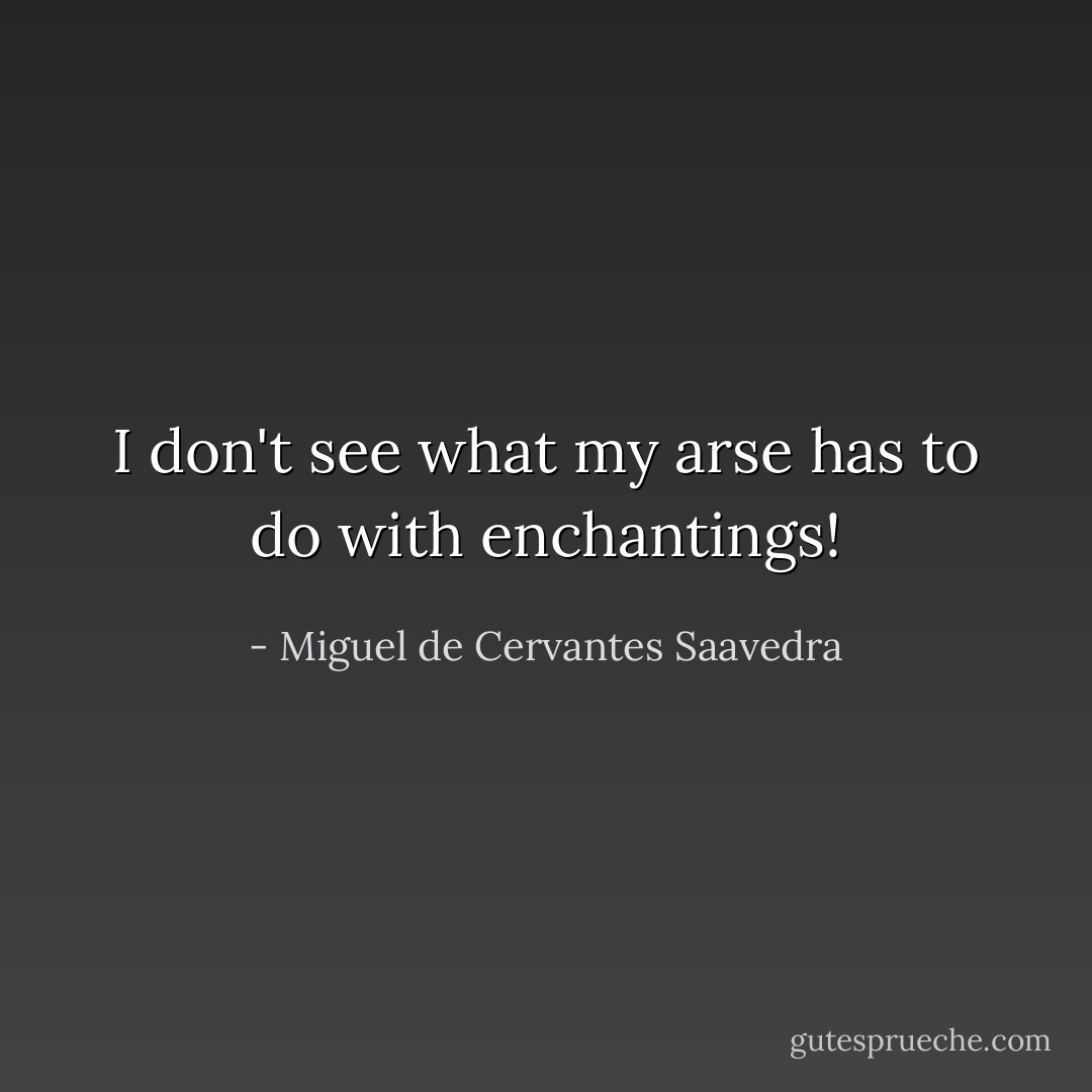 I don't see what my arse has to do with enchantings! - Miguel de Cervantes Saavedra