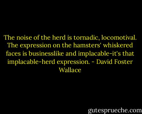 The noise of the herd is tornadic, locomotival. The expression on the hamsters' whiskered faces is businesslike and implacable-it's that implacable-herd expression. - David Foster Wallace