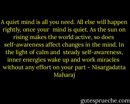 A quiet mind is all you need. All else will happen rightly, once your <br />mind is quiet. As the sun on rising makes the world active, so does <br />self-awareness affect changes in the mind. In the light of calm and <br />steady self-awareness, inner energies wake up and work miracles <br />without any effort on your part - Nisargadatta Maharaj