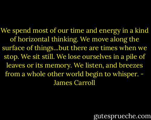 We spend most of our time and energy in a kind of horizontal thinking. We move along the surface of things...but there are times when we stop. We sit still. We lose ourselves in a pile of leaves or its memory. We listen, and breezes from a whole other world begin to whisper. - James Carroll