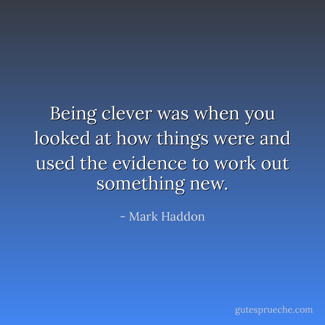 Being clever was when you looked at how things were and used the evidence to work out something new. - Mark Haddon