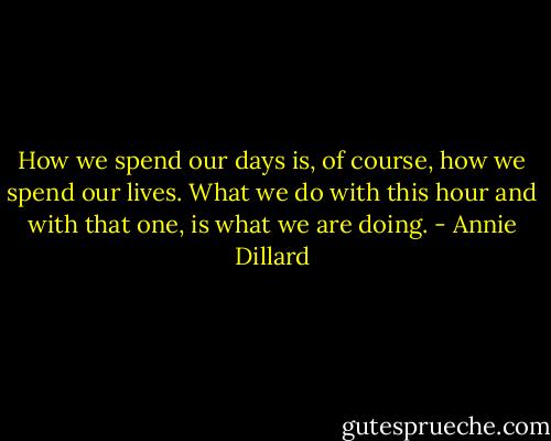 How we spend our days is, of course, how we spend our lives. What we do with this hour and with that one, is what we are doing. - Annie Dillard