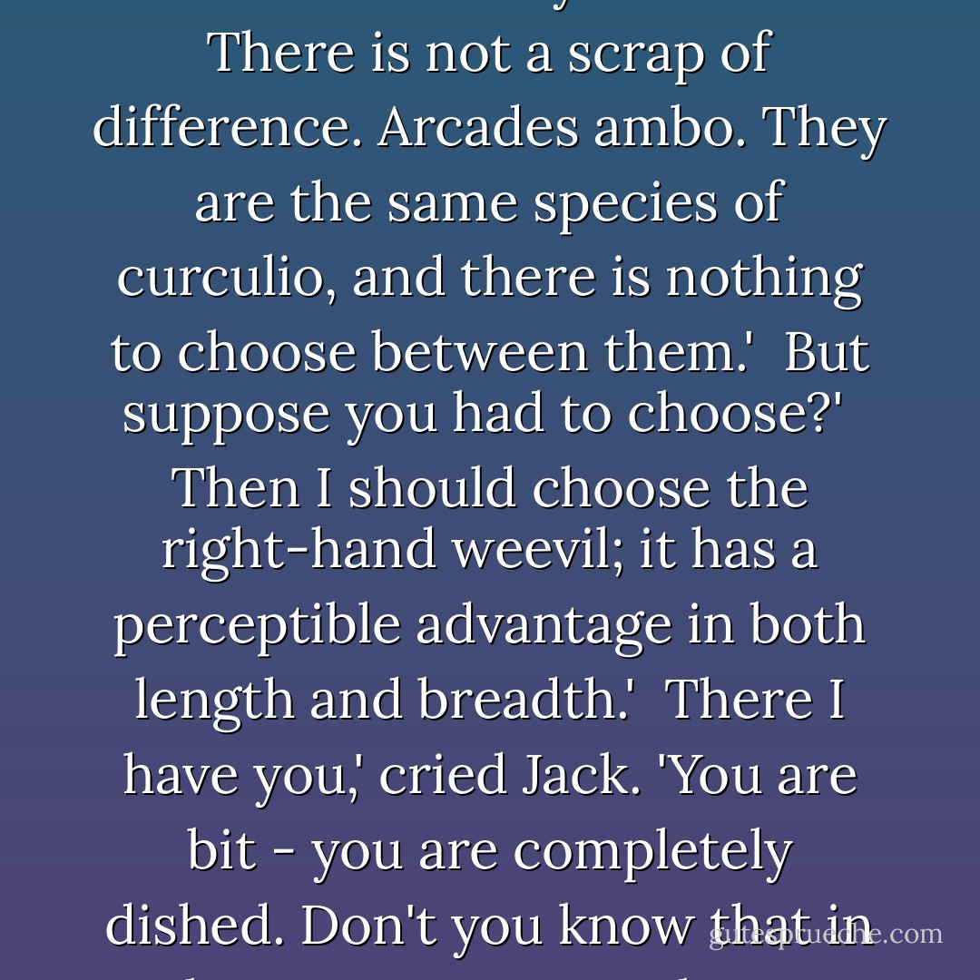 Two weevils crept from the crumbs. 'You see those weevils, Stephen?' said Jack solemnly.<br /><br />I do.'<br /><br />Which would you choose?'<br /><br />There is not a scrap of difference. Arcades ambo. They are the same species of curculio, and there is nothing to choose between them.'<br /><br />But suppose you had to choose?'<br /><br />Then I should choose the right-hand weevil; it has a perceptible advantage in both length and breadth.'<br /><br />There I have you,' cried Jack. 'You are bit - you are completely dished. Don't you know that in the Navy you must always choose the lesser of two weevils? Oh ha, ha, ha, ha! - Patrick O'Brian