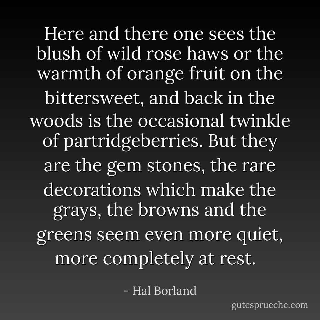 Here and there one sees the blush of wild rose haws or the warmth of orange fruit on the bittersweet, and back in the woods is the occasional twinkle of partridgeberries. But they are the gem stones, the rare decorations which make the grays, the browns and the greens seem even more quiet, more completely at rest.<br /><br /> - Hal Borland