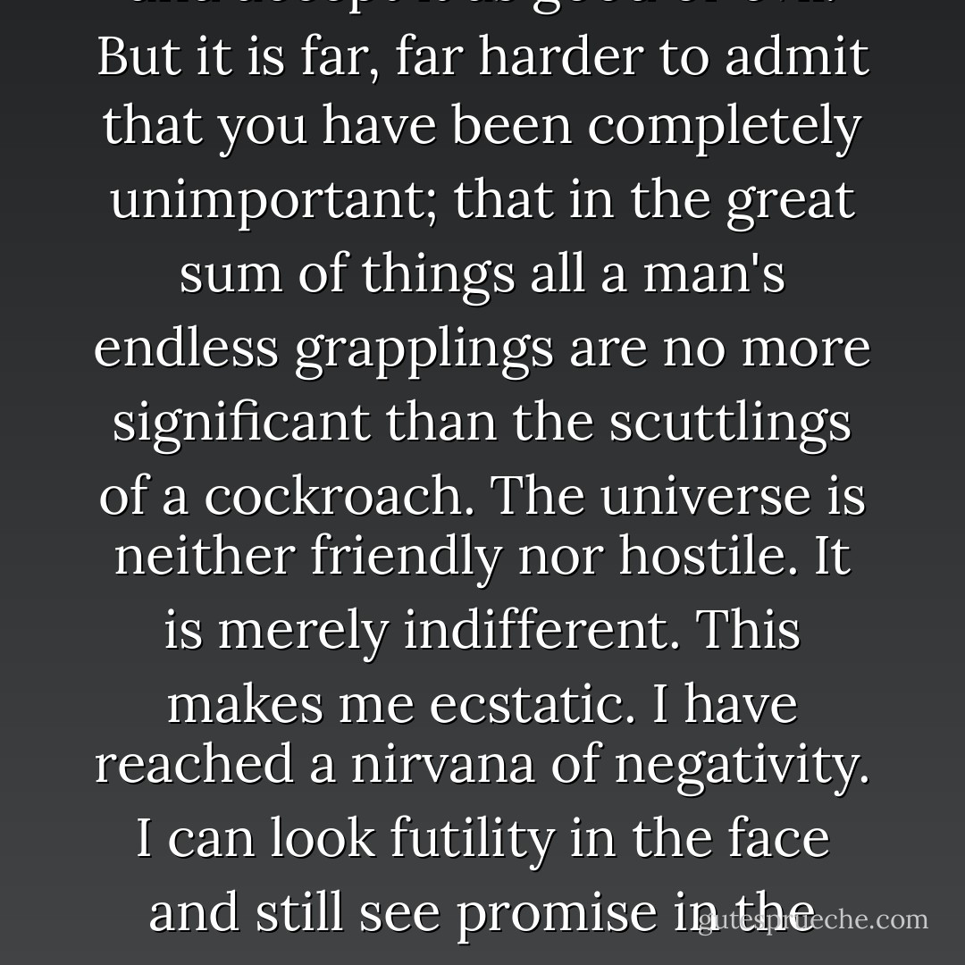 You may look back on your life and accept it as good or evil. But it is far, far harder to admit that you have been completely unimportant; that in the great sum of things all a man's endless grapplings are no more significant than the scuttlings of a cockroach. The universe is neither friendly nor hostile. It is merely indifferent. This makes me ecstatic. I have reached a nirvana of negativity. I can look futility in the face and still see promise in the stars. - Sebastian Horsley