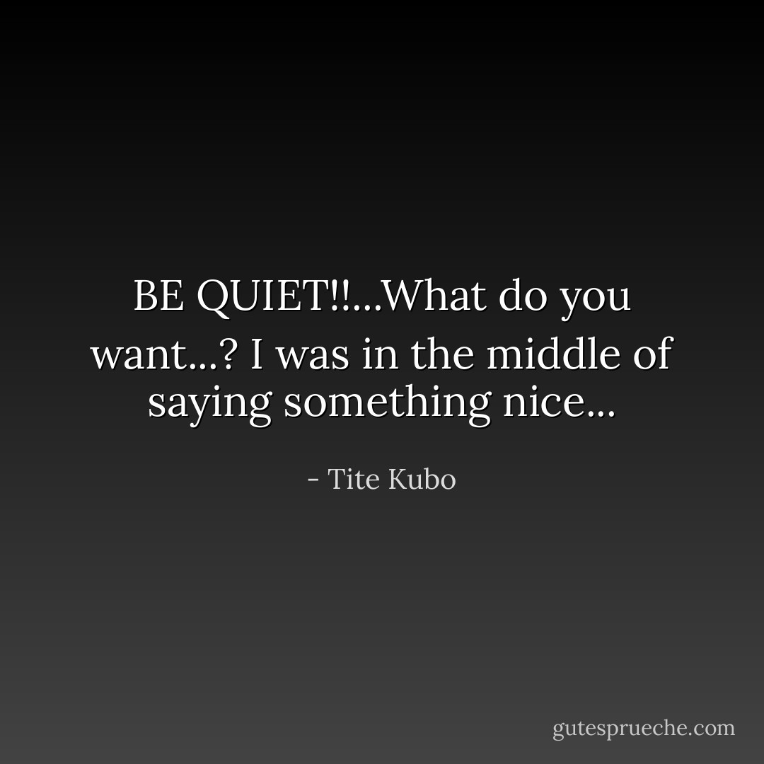 BE QUIET!!...What do you want...? I was in the middle of saying something nice... - Tite Kubo