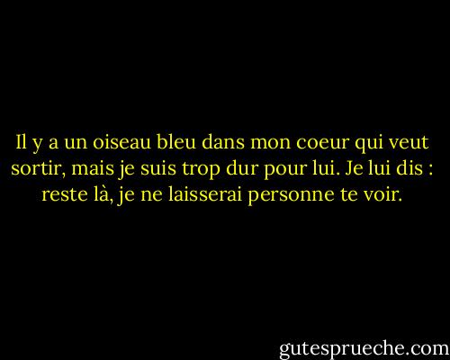 Il y a un oiseau bleu dans mon coeur qui veut sortir, mais je suis trop dur pour lui. Je lui dis : reste là, je ne laisserai personne te voir. - Charles Bukowski