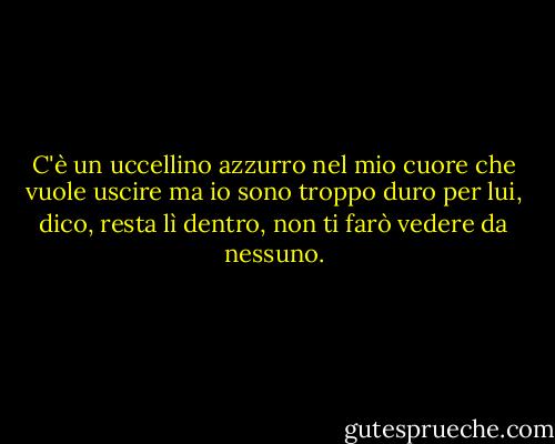 C'è un uccellino azzurro nel mio cuore che vuole uscire<br />ma io sono troppo duro per lui,<br />dico, resta lì dentro, non ti farò vedere da nessuno. - Charles Bukowski
