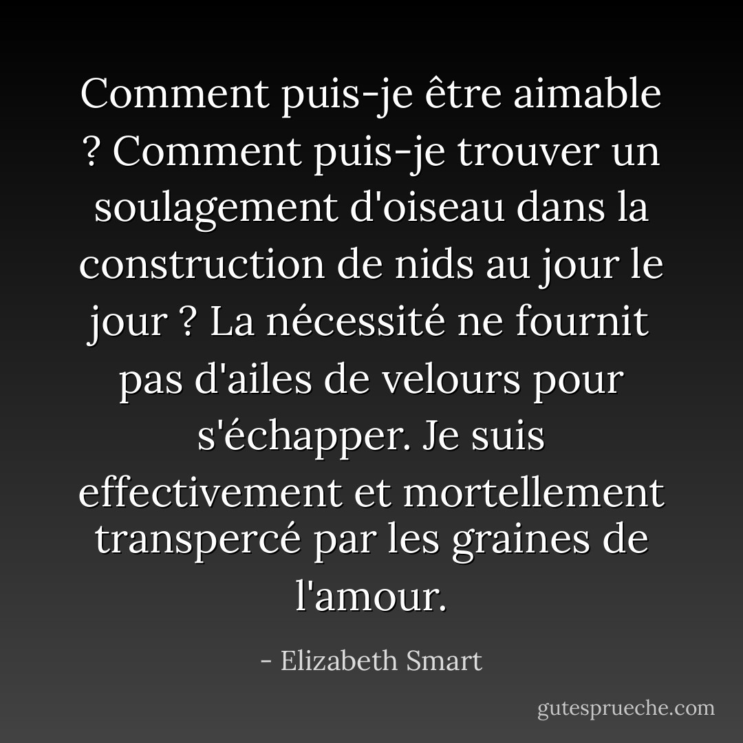 Comment puis-je être aimable ? Comment puis-je trouver un soulagement d'oiseau dans la construction de nids au jour le jour ? La nécessité ne fournit pas d'ailes de velours pour s'échapper. Je suis effectivement et mortellement transpercé par les graines de l'amour. - Elizabeth Smart