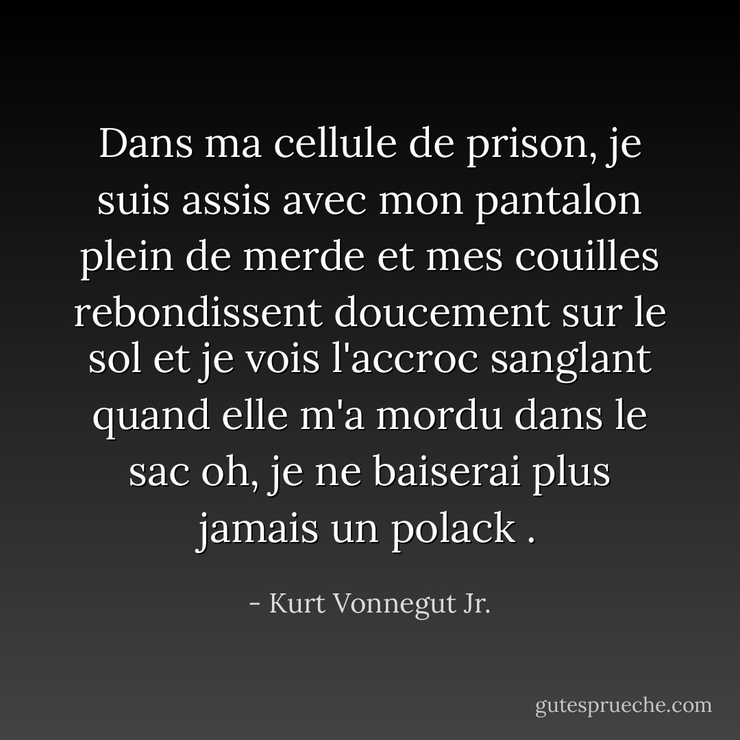 Dans ma cellule de prison, je suis assis<br />avec mon pantalon plein de merde<br />et mes couilles rebondissent doucement sur le sol<br />et je vois l'accroc sanglant<br />quand elle m'a mordu dans le sac<br />oh, je ne baiserai plus jamais un polack<br />. - Kurt Vonnegut Jr.