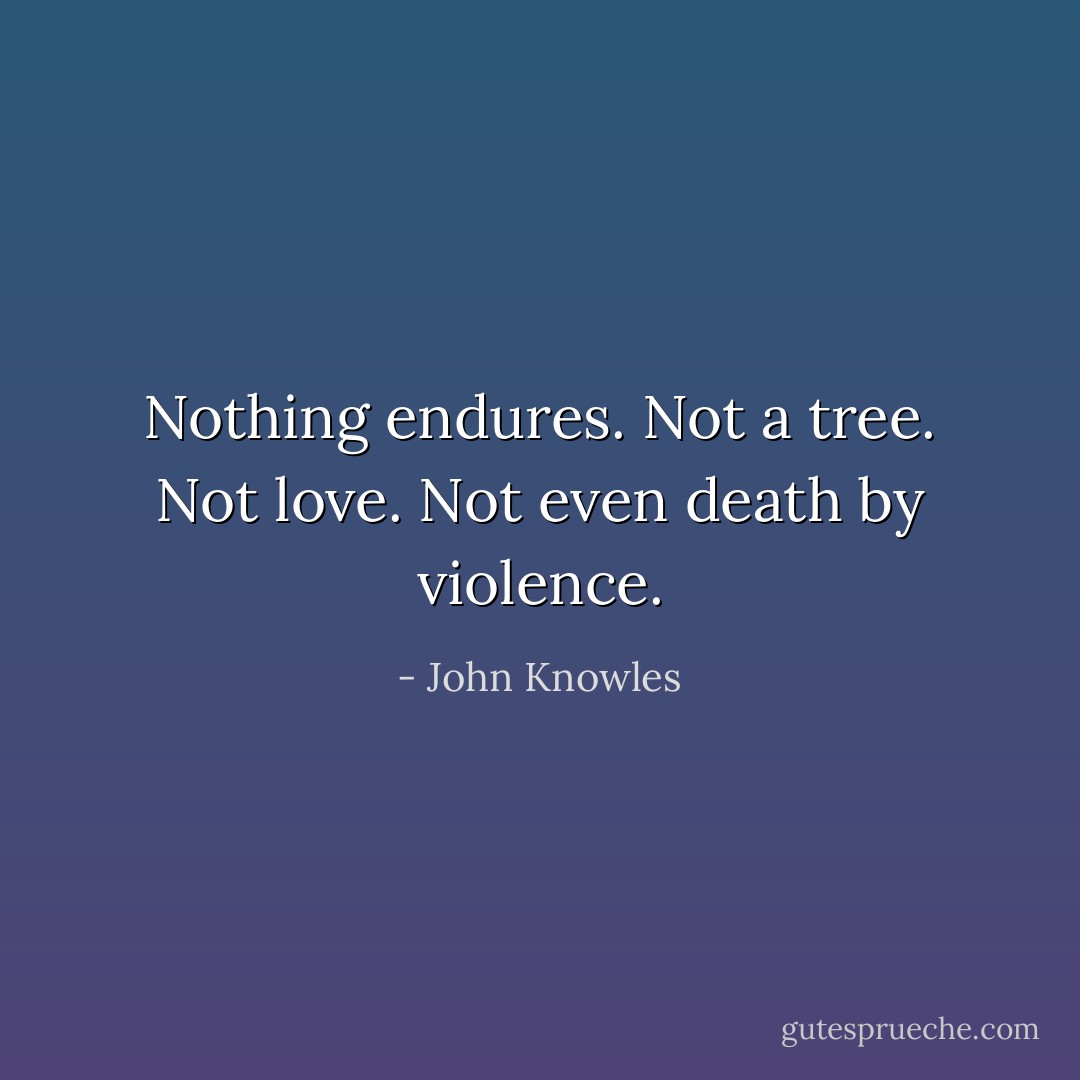 Nothing endures. Not a tree. Not love. Not even death by violence. - John Knowles