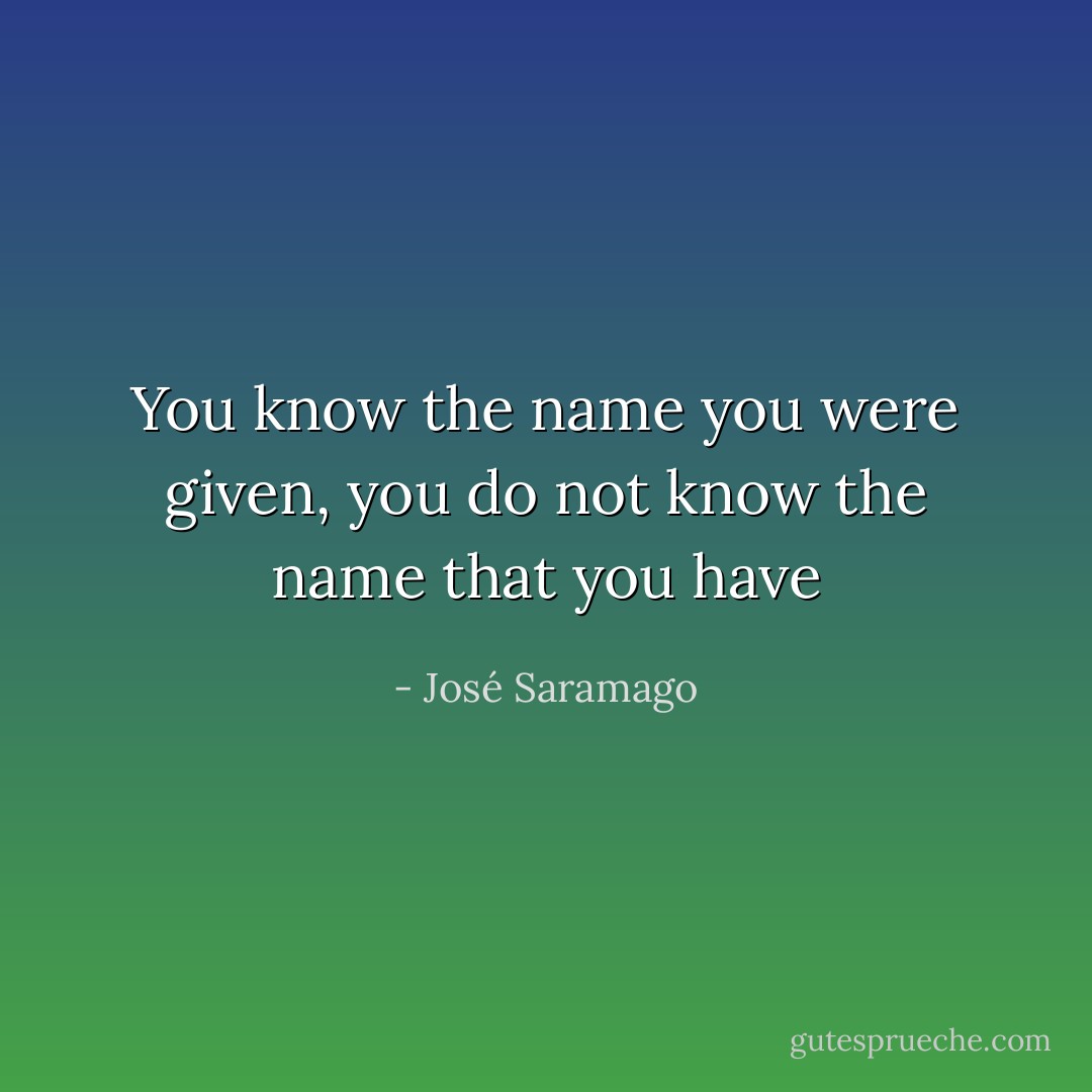 You know the name you were given, you do not know the name that you have - José Saramago