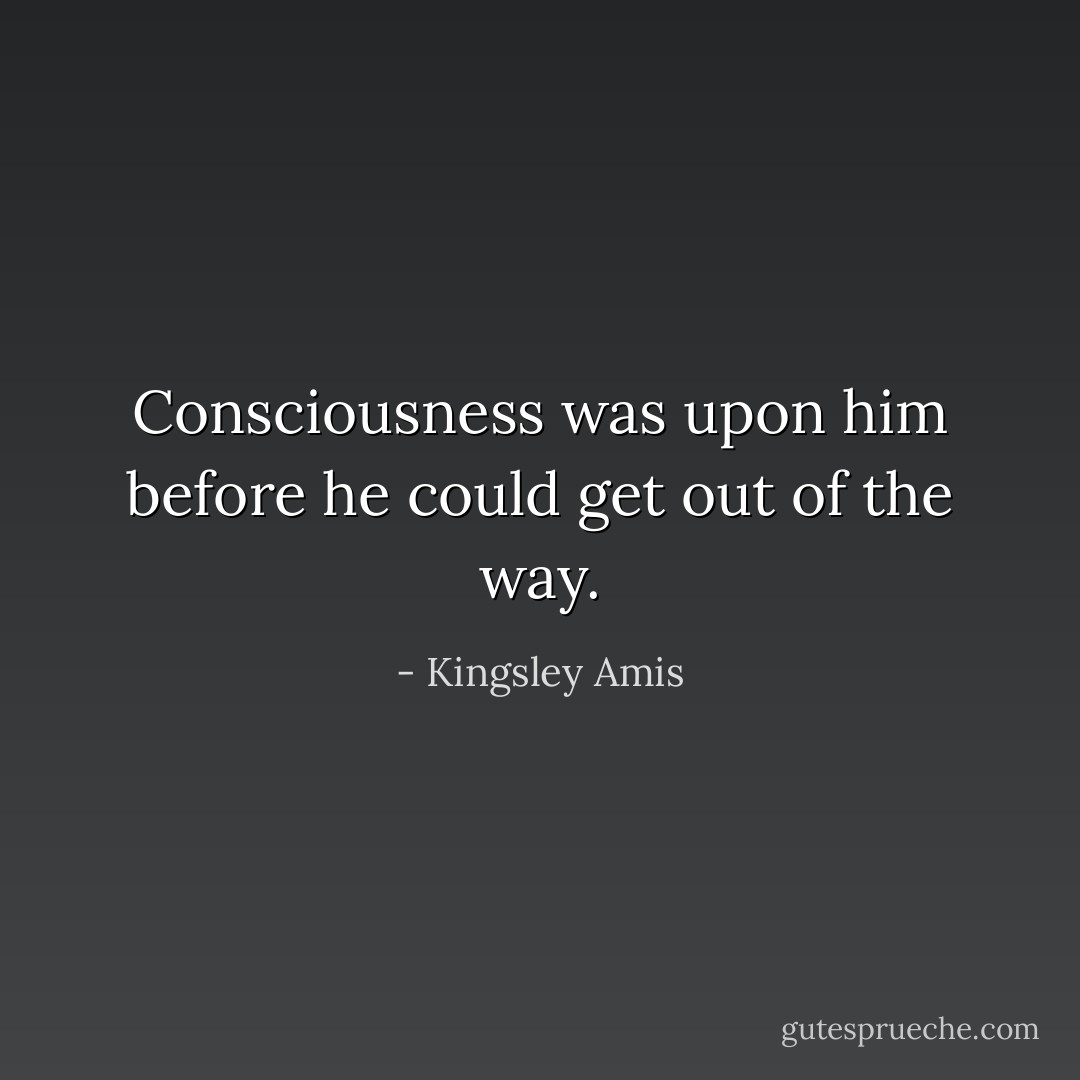 Consciousness was upon him before he could get out of the way. - Kingsley Amis