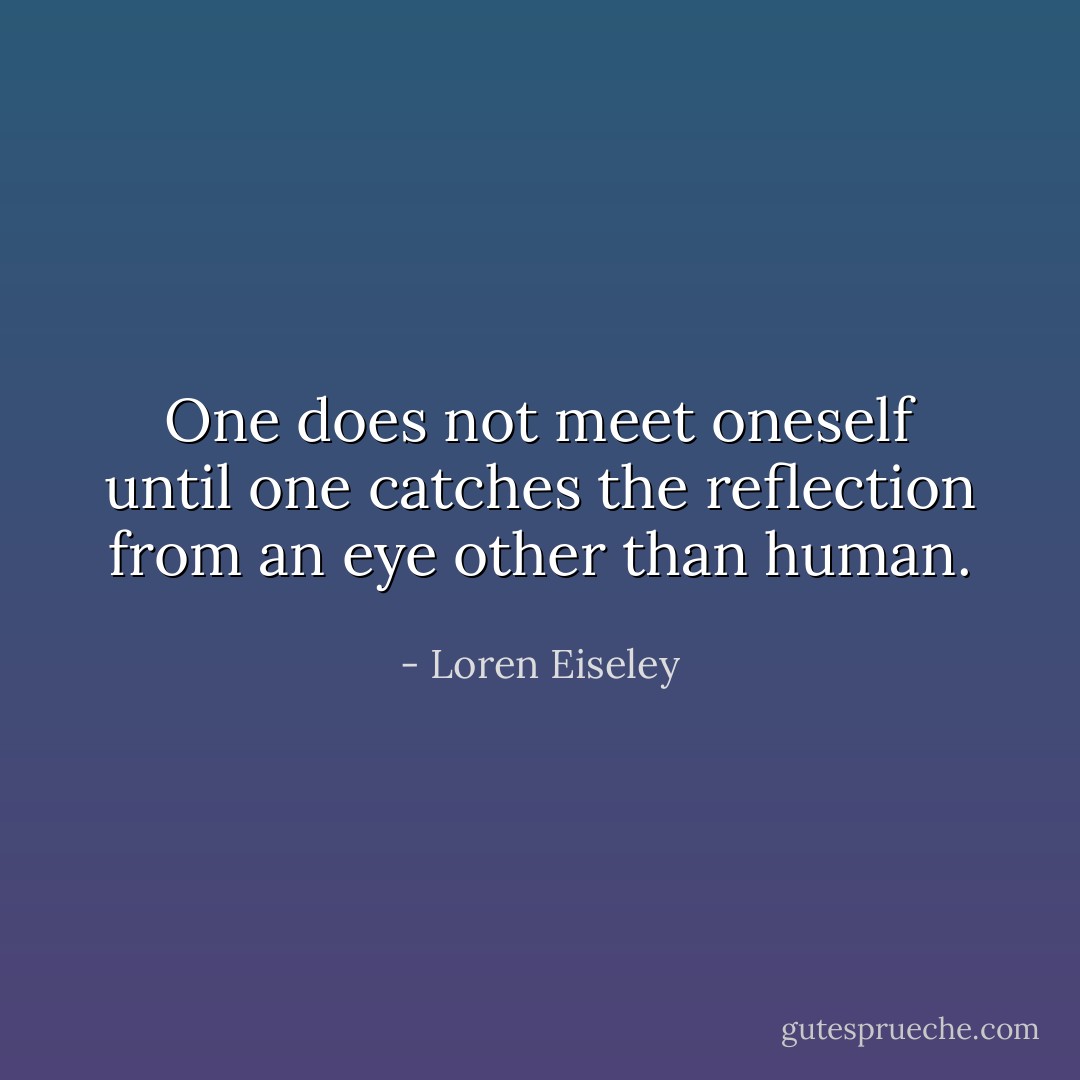 One does not meet oneself until one catches the reflection from an eye other than human. - Loren Eiseley