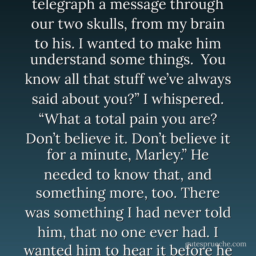 Then I dropped my forehead against his and sat there for a long time, as if I could telegraph a message through our two skulls, from my brain to his. I wanted to make him understand some things.<br /><br />You know all that stuff we’ve always said about you?” I whispered. “What a total pain you are? Don’t believe it. Don’t believe it for a minute, Marley.” He needed to know that, and something more, too. There was something I had never told him, that no one ever had. I wanted him to hear it before he went.<br /><br />Marley,” I said. “You are a great dog. - John Grogan