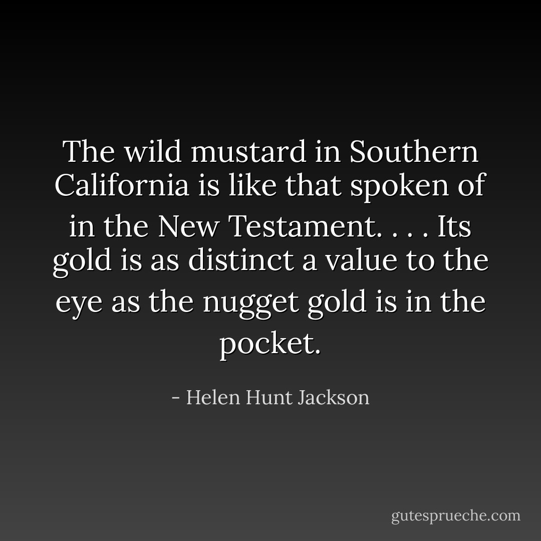 The wild mustard in Southern California is like that spoken of in the New Testament. . . . Its gold is as distinct a value to the eye as the nugget gold is in the pocket. - Helen Hunt Jackson