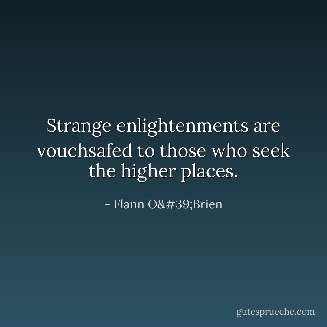 Strange enlightenments are vouchsafed to those who seek the higher places. - Flann O'Brien